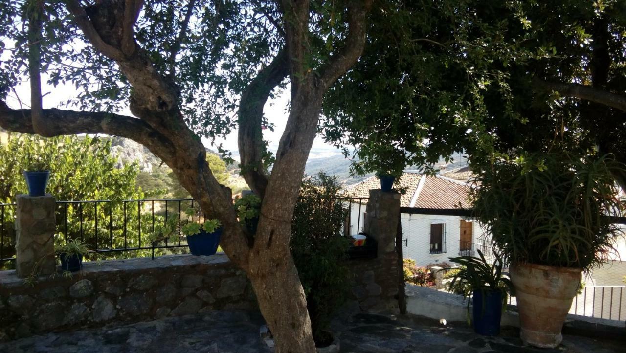 Maison d'hôtes Don Claudio à Grazalema Extérieur photo